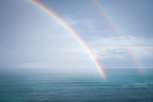 Looking for Security in a Sea of Uncertainty