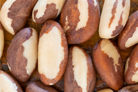 Brazil Nut – Selenium's Potential Benefits for Hair, Skin, Nails, and Bone Health, Nurturing Strength and Vitality.