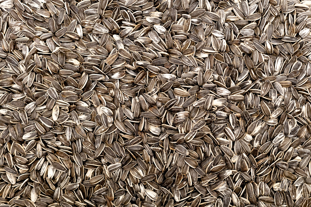 Sunflower Seeds – Enriched with Copper, Aiding Skin and Bone Health by Promoting Collagen Production.
