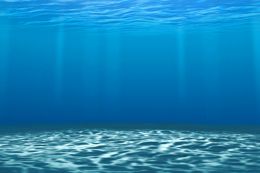 A tranquil underwater scene in the ocean, bathed in dappled sunlight filtering through the surface.