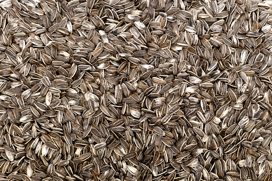 Sunflower Seeds – Enriched with Copper, Aiding Skin and Bone Health by Promoting Collagen Production.