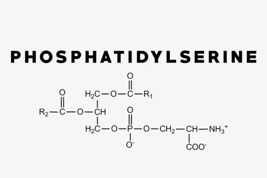Chemical Formula of Phosphatidylserine – Vital for Memory Retention and Cognitive Function in Women.